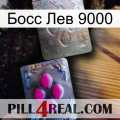 Босс Лев 9000 38